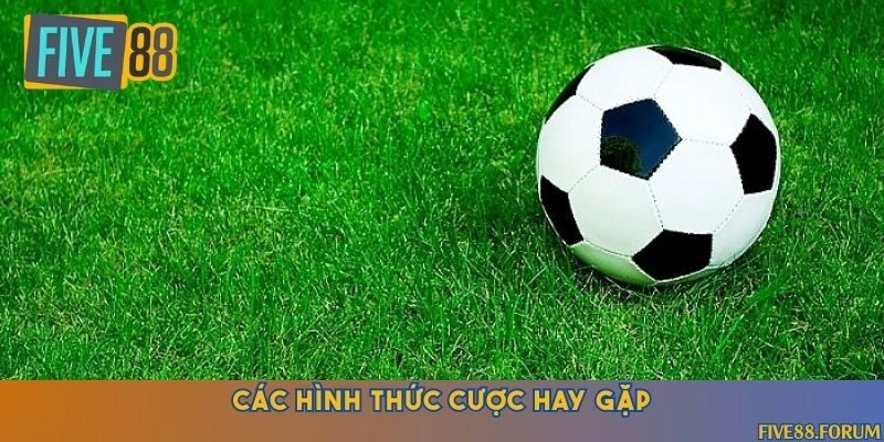 Đặc điểm riêng biệt của kèo chấp 0.5/1 giữa châu Á và tài xỉu