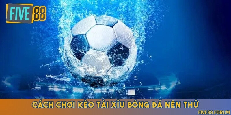 Các hình thức cược mới lạ và sinh lời cao