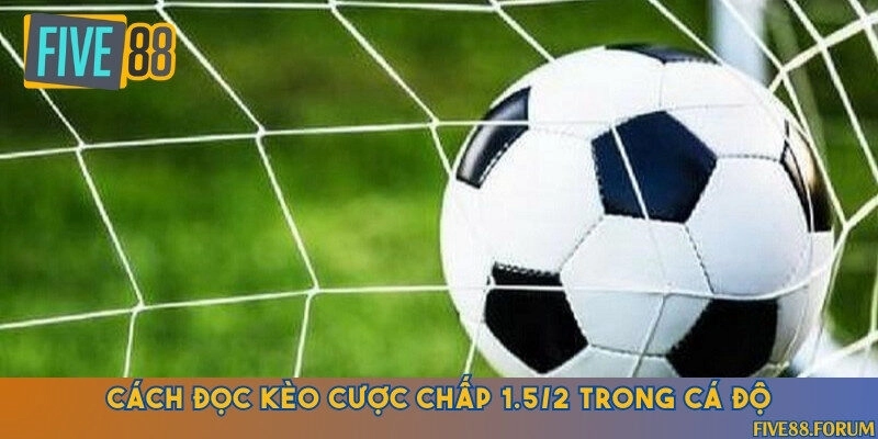 Hướng dẫn đầy đủ cách đọc kèo cược chấp 1.5/2 chuẩn nhất