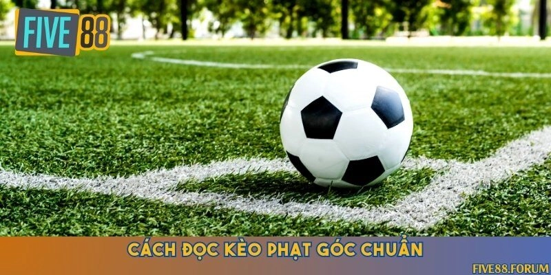 Hướng dẫn chi tiết cách đọc kèo phạt góc khi cá cược bóng đá