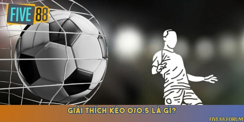 Khám phá sự hấp dẫn của kèo 0/0.5