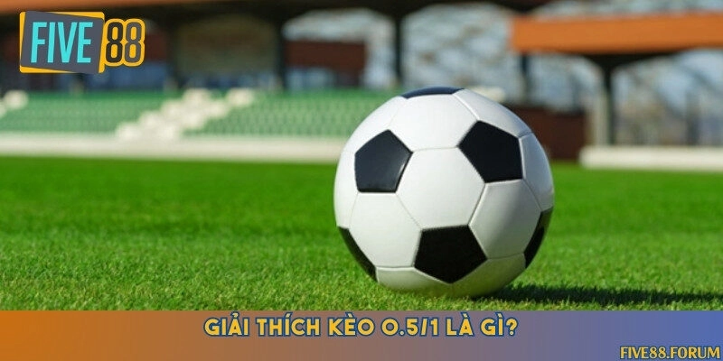 Khám phá sự thú vị về kèo cược chấp 0.5/1