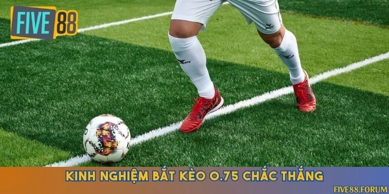 Bí quyết bắt kèo 0.75 hiệu quả, nâng cao tỷ lệ thắng