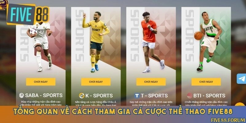 Khám phá nền tảng thể thao số một thế giới đến từ châu Âu